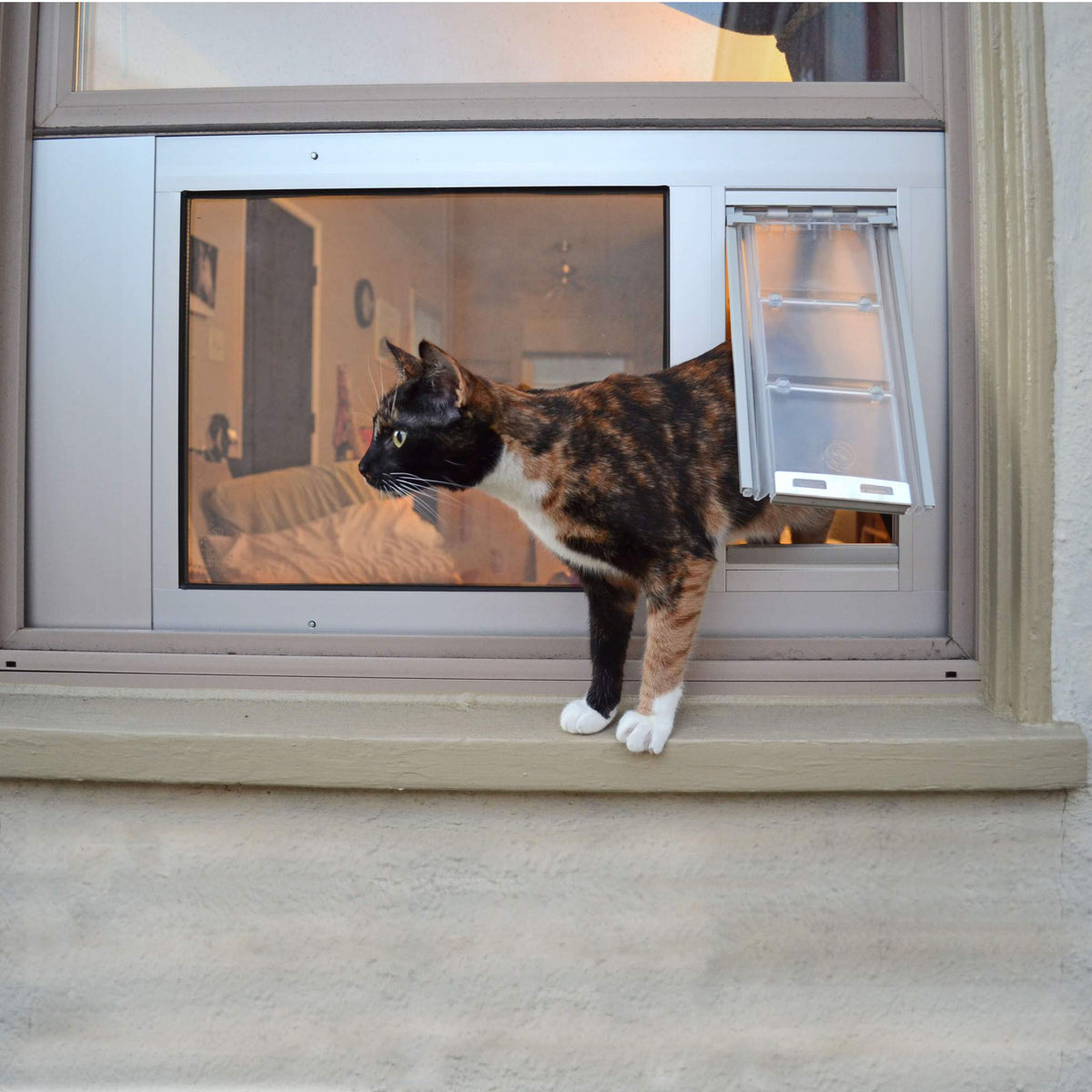 Should cats be indoor or clearance outdoor