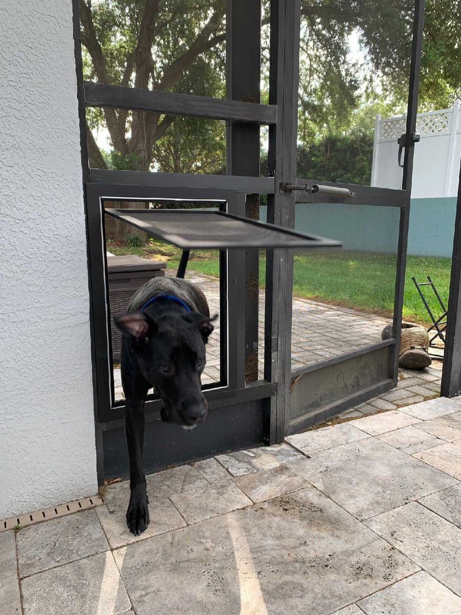 Aluminum screen door with pet door best sale