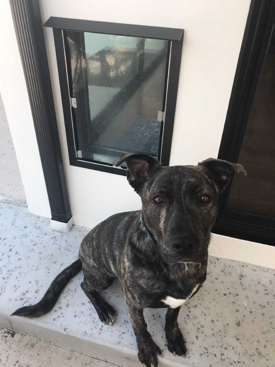 Dog door awning fashion