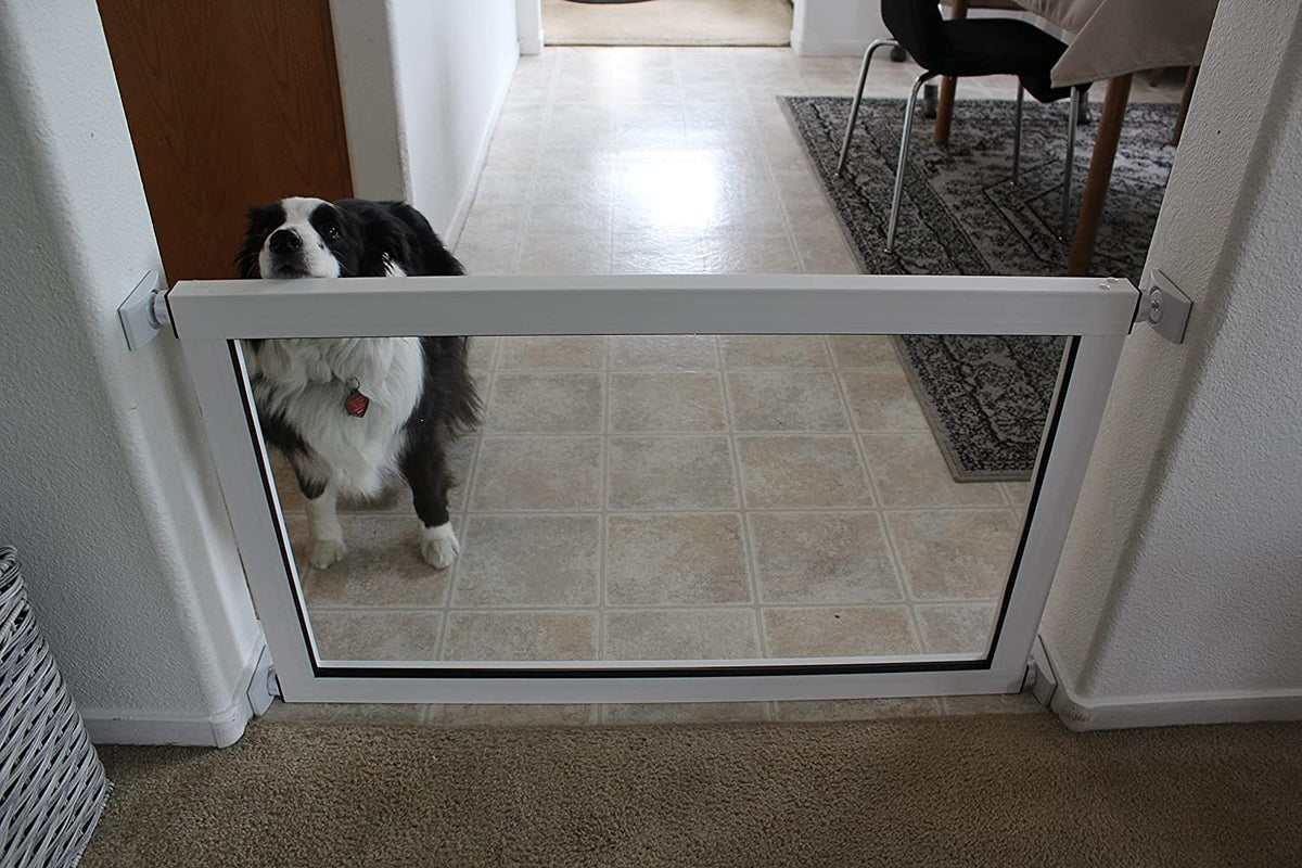 Dog screen hot sale gate