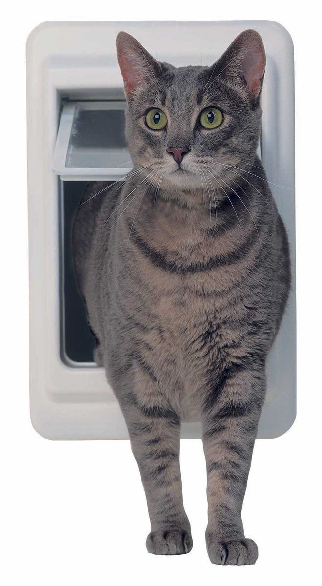 Ideal 4 Way Locking Cat Door Unrivaled Pet Access Control