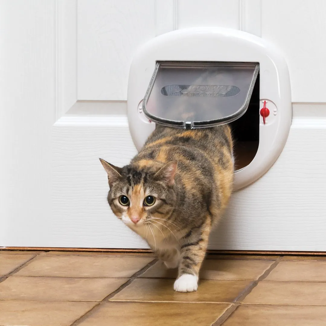 Big shop cat flap