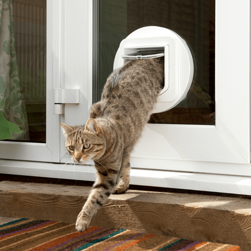 What is an Electronic Pet Door and How Does it Work?