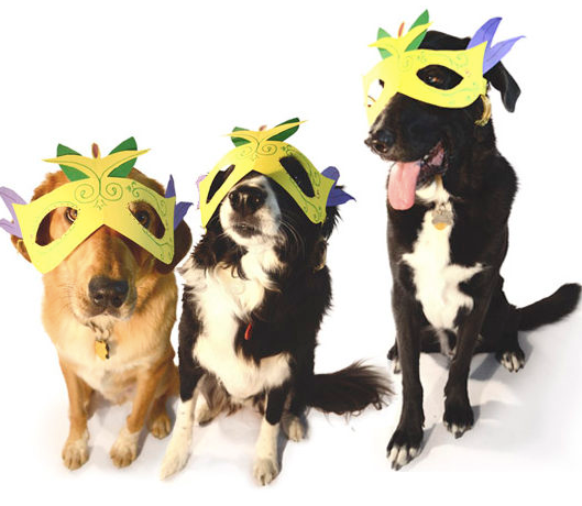 Dog mardi gras costumes hotsell