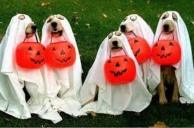 Happy Howl-o-Ween