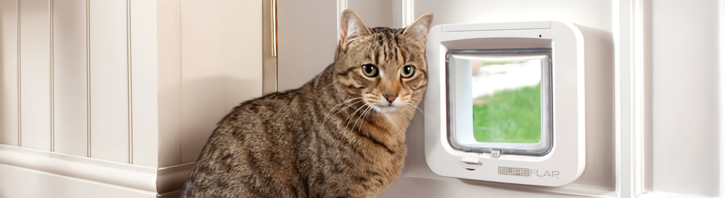 Wifi shop cat flap