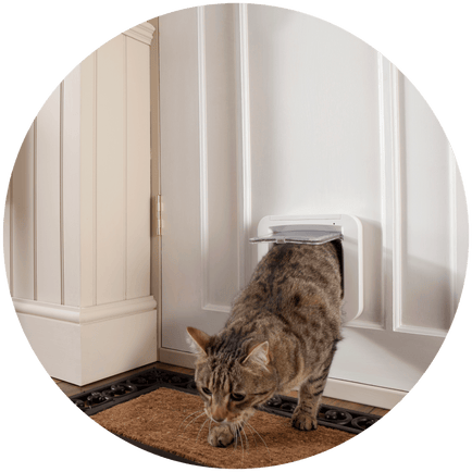 Cheap door hotsell with cat flap