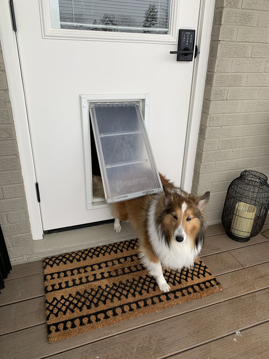 Endura Flap E2 Pet Door Crafted for All Seasons Sized for All Pets