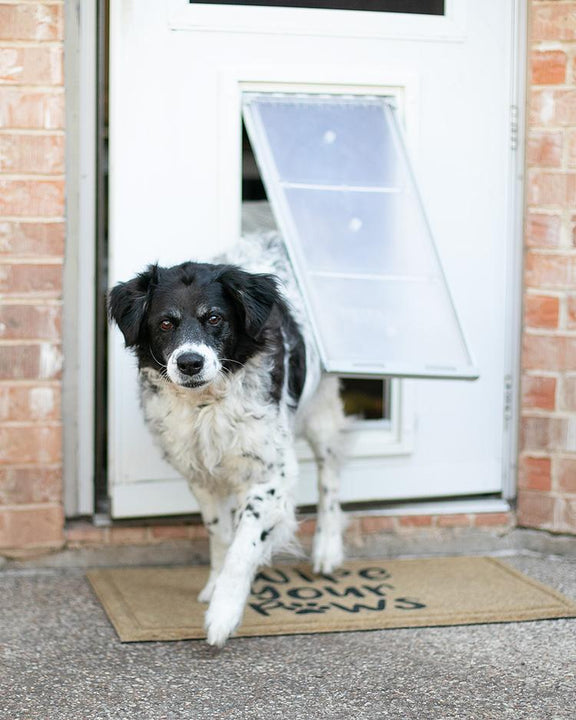 Endura dog door for walls hotsell