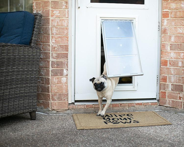 Endura Flap E2 Pet Door For Doors