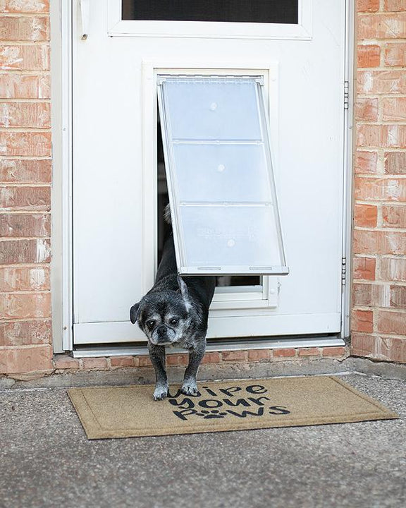 Double dog door best sale