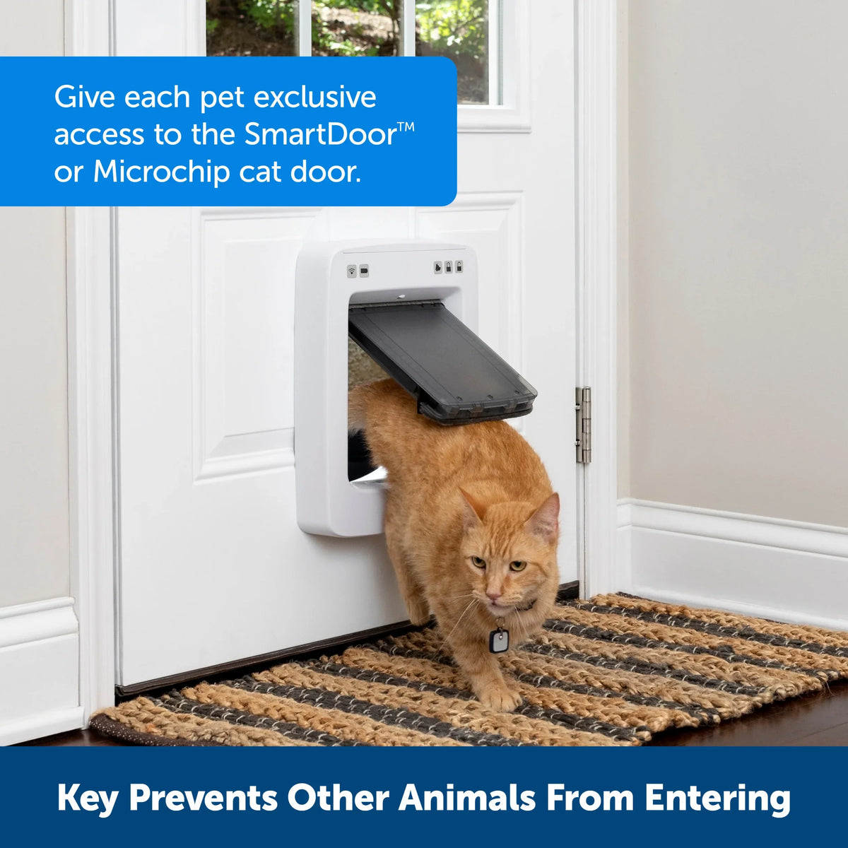 PetSafe SmartDoor SmartDoor™ Connected Pet Door Key: Exclusive Access ...